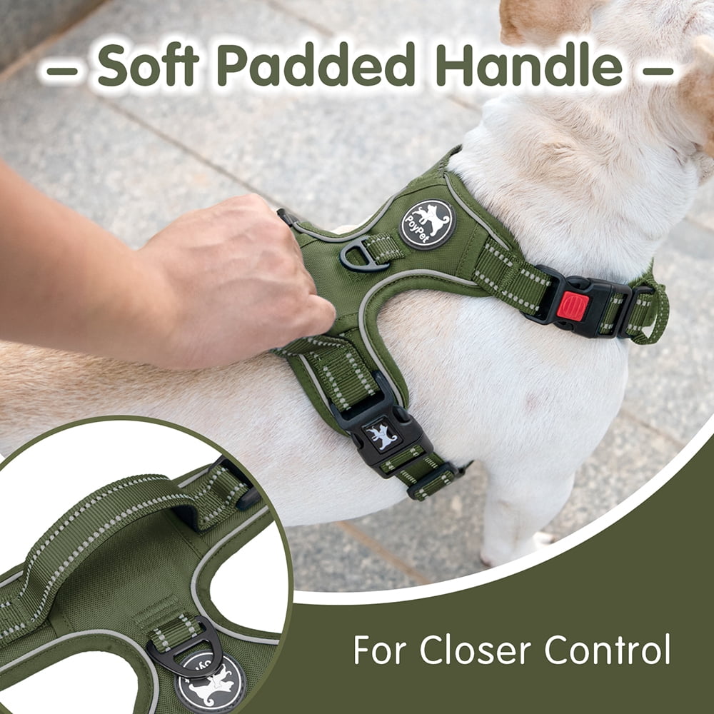 No Pull Dog Harness And Leash Set - Adjustable Escape Proof Step-in Harness For Small, Medium, Large Dogs