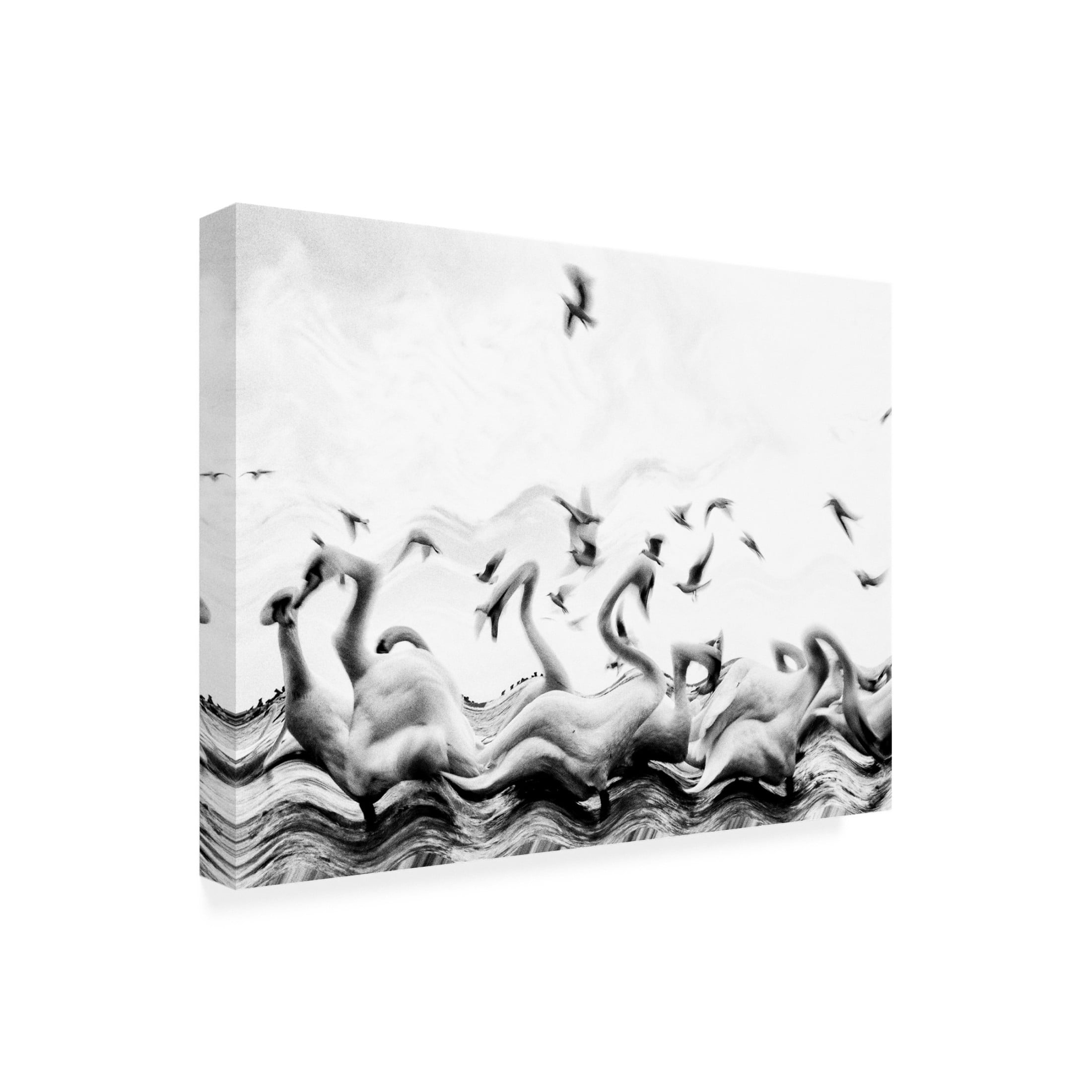 Trademark Fine Art Silvia Dinca Swans Waves Canvas Wall Art