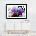 thumbnail image 2 of Magnolia tree in the sunny spring light - Bezirk Pankow Berlin Germany Photography Floral Flowers Botanical Nature Garden Scenic Black Framed Wall Art Print 5 x 7 inches, 2 of 4