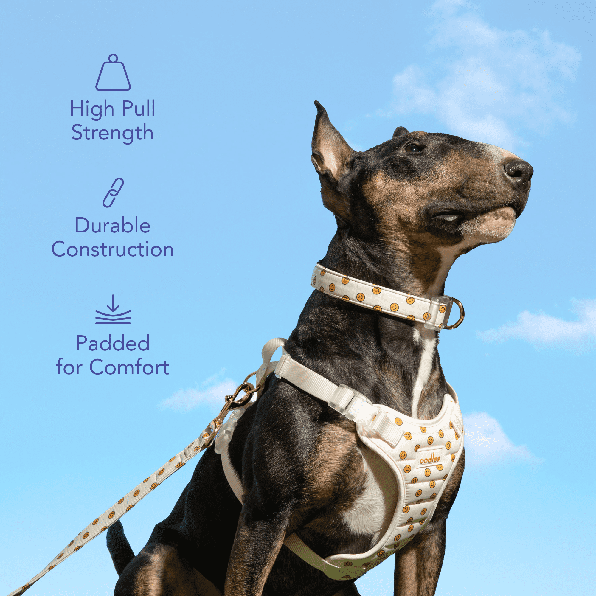 Oodles Tan Smiley Faces Standard Dog Leash, 6ft