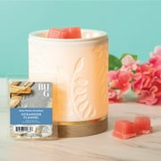 Oceanside Flannel Scented Wax Melts, Better Homes & Gardens, 2.5 oz (1-Pack)