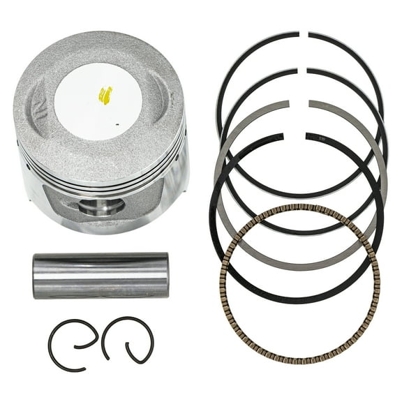 Niche Stock Piston 47mm for Honda CRF70F Trail 70 XR70R 13102-GB5-306 519-KPS2229T