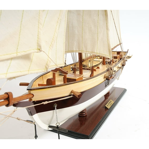 Lynx Painted Model Display