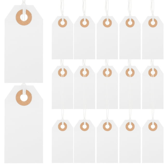 SHISUYAN 100Pcs Paper Blank Hanging Tags Label Tags with String and Hole for Jewelry Clothes Small Business