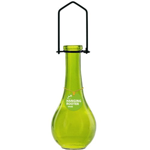 Lime Hanging Drop Glass Rooting Vase Couronne 