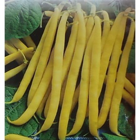 Lily Pad Garden - Garden Bean Pencil Pod Black Wax Seed - 1 Packet