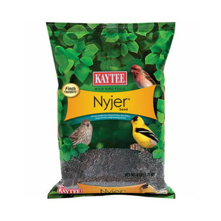 Kaytee Products 100213768 Wild Bird Seed, Nyjer Thistle,