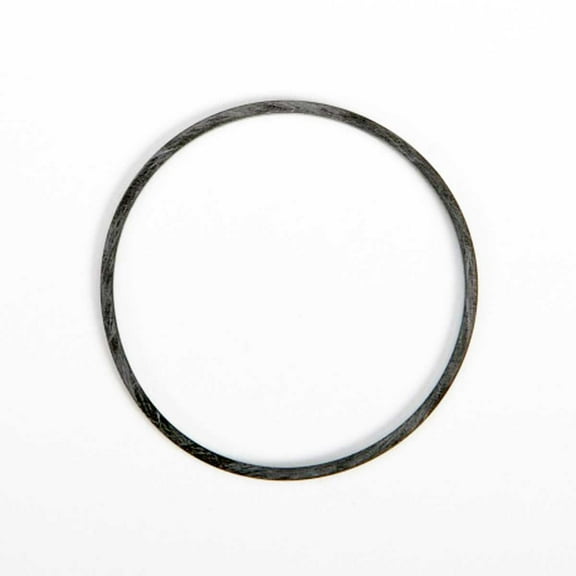 Briggs & Stratton OEM 798522  Gasket-Float Bowl