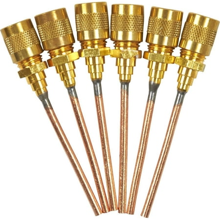 

Genuine C and D Valve CD8408 Cap and Valve Core