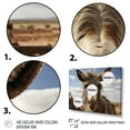 thumbnail image 3 of Designart "Portrait of a Gray Donkey" Animals Floater Framed Wall Art Living Room, 3 of 7
