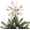 White+Seashell, variant on Sinkoo Natural Starfish Christmas Tree Topper, 6 Inch Starfish Treetop Coastal Christmas Holiday Decoration for Sea Nautical Beach Themed Xmas Decor