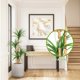 thumbnail image 5 of 4ft/5ft/6ft simulation dracaena artificial tree - great para home y oficina decoration, 5 of 5