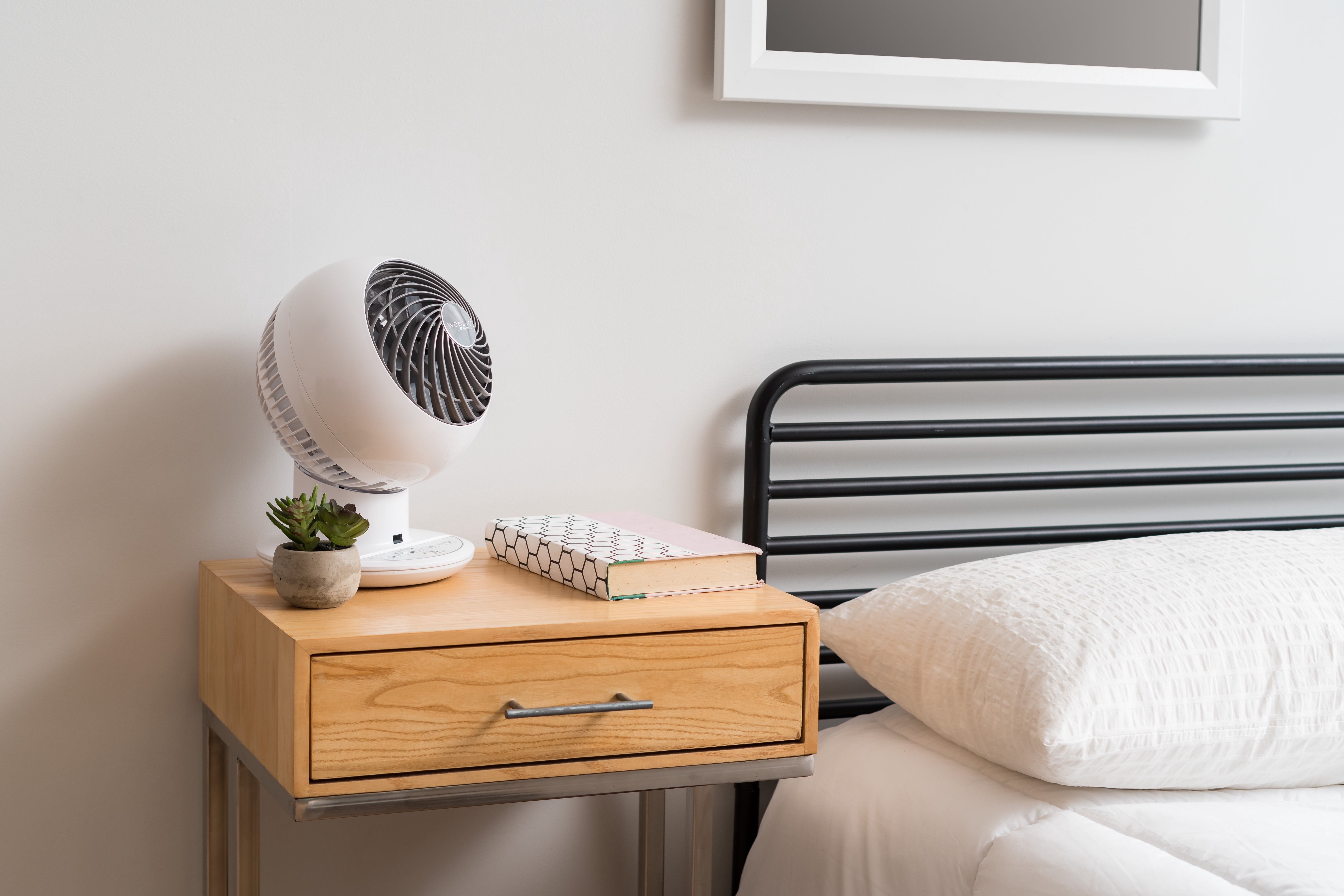 IRIS WOOZOO Fan with Remote, Oscillating Fan, Desk Fan, Table Air Circulator, Globe Fan, Fan for Bedroom, 5 Speeds