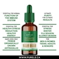 thumbnail image 3 of Super Strength Astragalus Roots Extract - Traditional Immune Tonic. End colds, flu, sneezing and wheezing. All Natural Root Extract - No Fillers or Binders, No Artificial Ingredients, 3 of 8