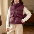 thumbnail image 2 of StSilkitty Puffer Vest for Boys Girls Zip up Sleeveless Stand Collar Jacket Coat Fall Winter Warm Outerwear with Pockets, 2 of 9