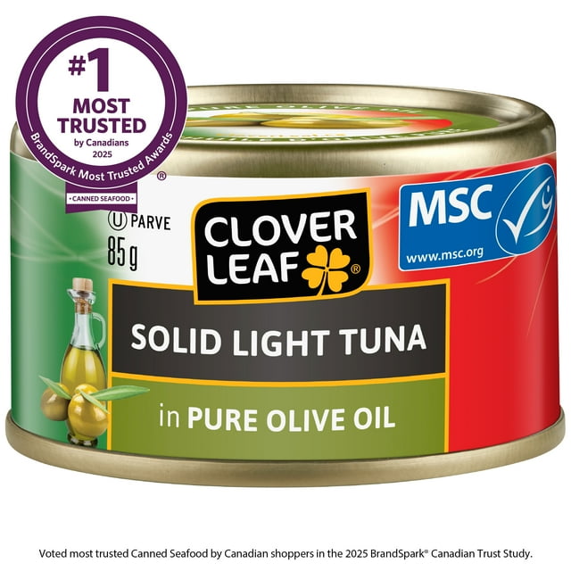 Clover Leaf Solid Light Tuna In Olive Oil