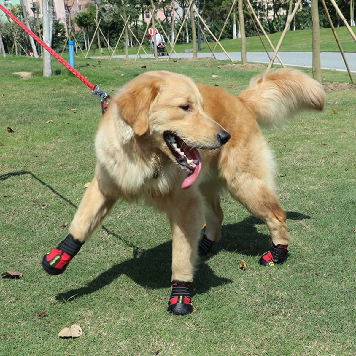large dog rain boots