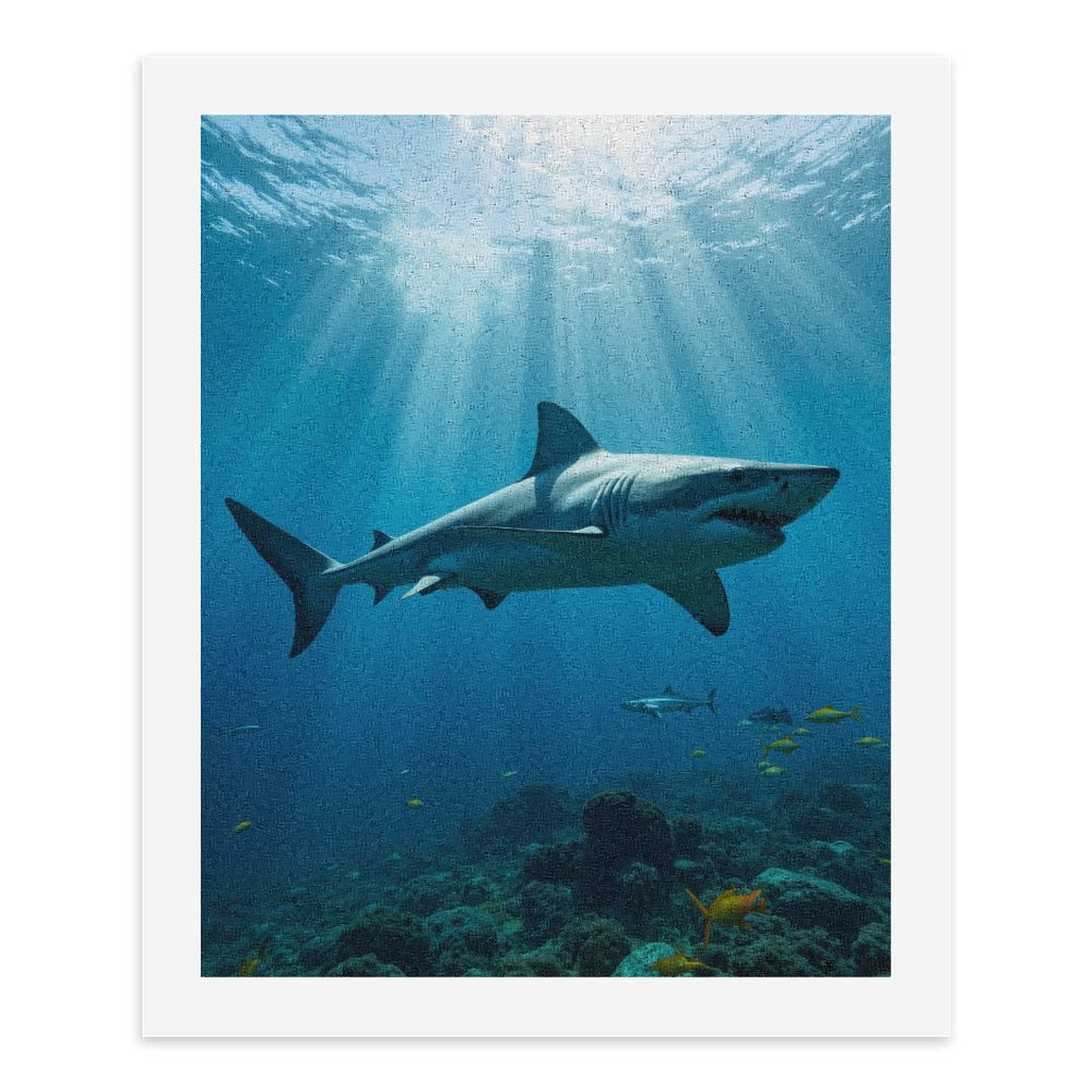 Paint by Numbers Kit for Adults, Great White Shark Ocean Scene Paint by Numbers, Easy Paint by Numbers Kit for Adults Beginner, DIY Adult Paint by Number Kits on Canvas, 12x16in Home Decor