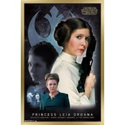 Star Wars: Saga - Princess Leia - Memory Wall Poster, 14.725" x 22.375", Framed