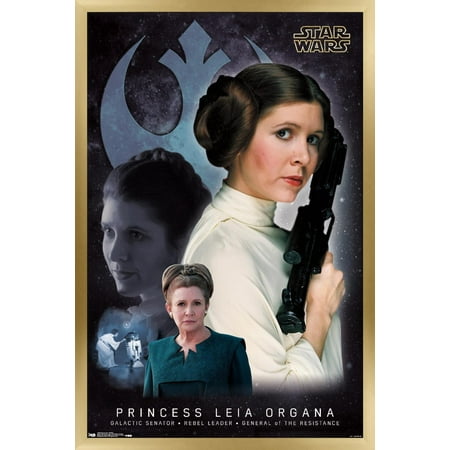 Star Wars: Saga - Princess Leia - Memory Wall Poster, 14.725" x 22.375", Framed
