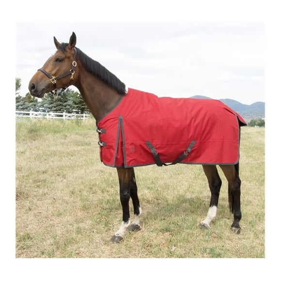 76 in. Atlas Turnout Blanket 600 Denier with 300 gm Lining