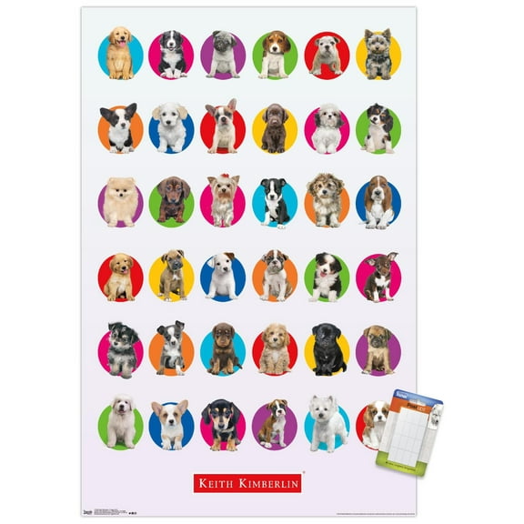 Keith Kimberlin - Puppy Grid Wall Poster, 22.375" x 34"