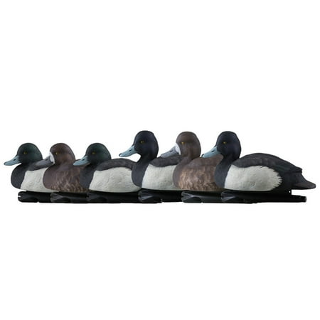 Avian-X Topflight Blue Bills Decoy Set Realistic Duck Decoys Set of 6