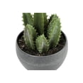 thumbnail image 4 of Artificial Plant, 6" Tall, Succulent, Indoor, Faux, Fake, Table, Greenery, Potted, Set Of 3, Decorative, Green Plants, Grey Cement Pots, 4 of 6