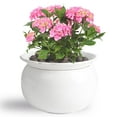 thumbnail image 3 of EFISPSS 6" Self-Watering Ceramic African Violet Pots – White Gradient | Minimalist Home Decor, 3 of 13