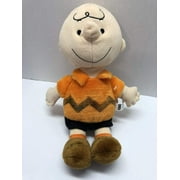 Kohl's Peanuts Charlie Brown Plush Rare New