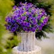 thumbnail image 1 of Violet Artificial Flower Wall Decor Ornament – Lifelike Simulation Plant, Purple Hanging Floral Arrangement, Long-Lasting Home Interior Decoration Accent, 1 of 1