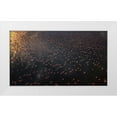 thumbnail image 1 of Chang, Phillip 24x15 White Modern Wood Framed Museum Art Print Titled - Flamingo, 1 of 4