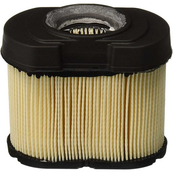 Briggs & Stratton Genuine 798748 FILTER-AIR CLEANER CA Replacement Part