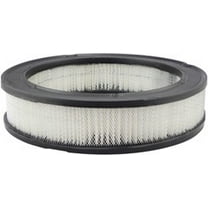 Baldwin Filters Air Filter, 10-1/16 x 2-3/8 in. Fits select: 1966-1967 FORD MUSTANG, 1966 FORD THUNDERBIRD