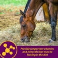 thumbnail image 5 of Horse Health Red Cell Iron-Rich Vitamin Supplement Pellets for Horses 4 lbs. 64-Day Supply, 5 of 12