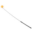 thumbnail image 1 of Retractable Cat Wand Toys, Funny Cat Stick Perfect Interaction  for Funny Cat, 1 of 7