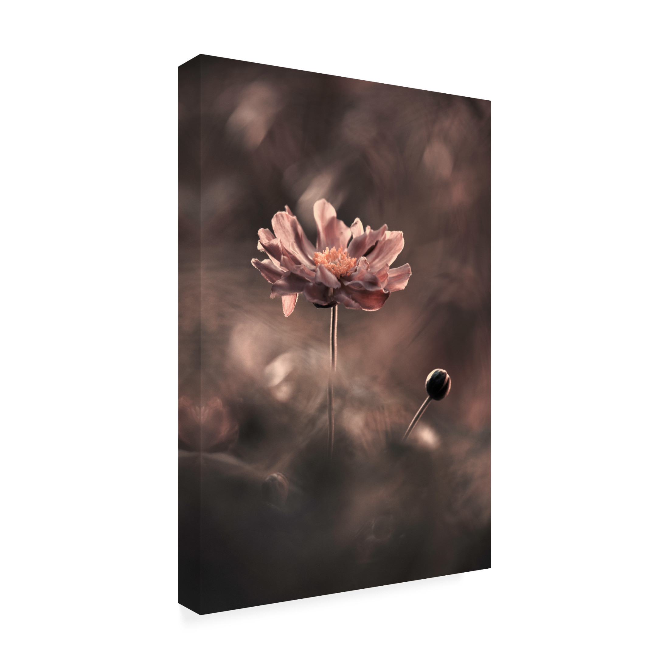 Canvas Wall Art - Fabien Bravin 'Un Pracsent Et Un Futur Racvolus Un Passac Pracsent' Wall Art for Living Room, Bedroom, or Office Décor by Trademark Fine Art - 22 x 32 Inches
