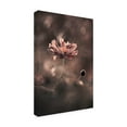 thumbnail image 4 of Canvas Wall Art - Fabien Bravin 'Un Pracsent Et Un Futur Racvolus Un Passac Pracsent' Wall Art for Living Room, Bedroom, or Office Décor by Trademark Fine Art - 16 x 24 Inches, 4 of 4