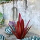 thumbnail image 3 of Xihbxyly Artesanía En Hierro Tequila, Escultura Vegetal Artesanal, Diseño Único con Detalles En Azul, Decoración para Jardín, Arte Personalizable, 55 Cm de Alto, Juego de 9 Hojas, 3 of 4