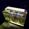 thumbnail image 2 of Luz para plantas acuáticas, lámpara LED para plantas acuáticas de alta potencia para acuario, luz LED para pecera diseñada meticulosamente, 2 of 8