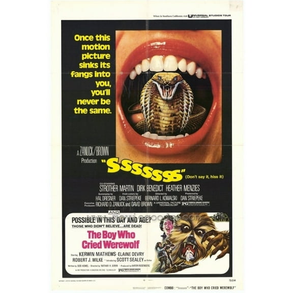 Boy Who Cried Werewolf Movie Poster (11 x 17)