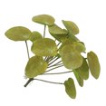 thumbnail image 4 of Hojas de follaje artificial Simulación de plástico Decoración de vegetación Oficina en casa Decoración de plantas falsas, Amarillo verde Scienceny HA8164-03B, 4 of 6
