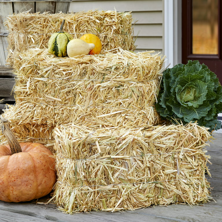 Way to Celebrate Harvest Decorative 20 Inch Straw Bale, 2 Pack