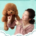 thumbnail image 3 of Surakey 10.2" Plush Dog Toys,Curly Haired Teddy for Kids Birthday Gift Beige, 3 of 10