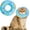 Blue, variant on Cat Cone Collar Soft, Cat Recovery Collar for Wound Healing Cute Cat Donut Adjustable Cat Cones to Stop Licking Comfortable Lightweight Neck Elizabethan Collars for Cats Kittens After Surgery