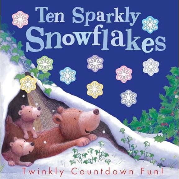 Pre-Owned Ten Sparkly Snowflakes : Twinkly Countdown Fun! (Paperback)