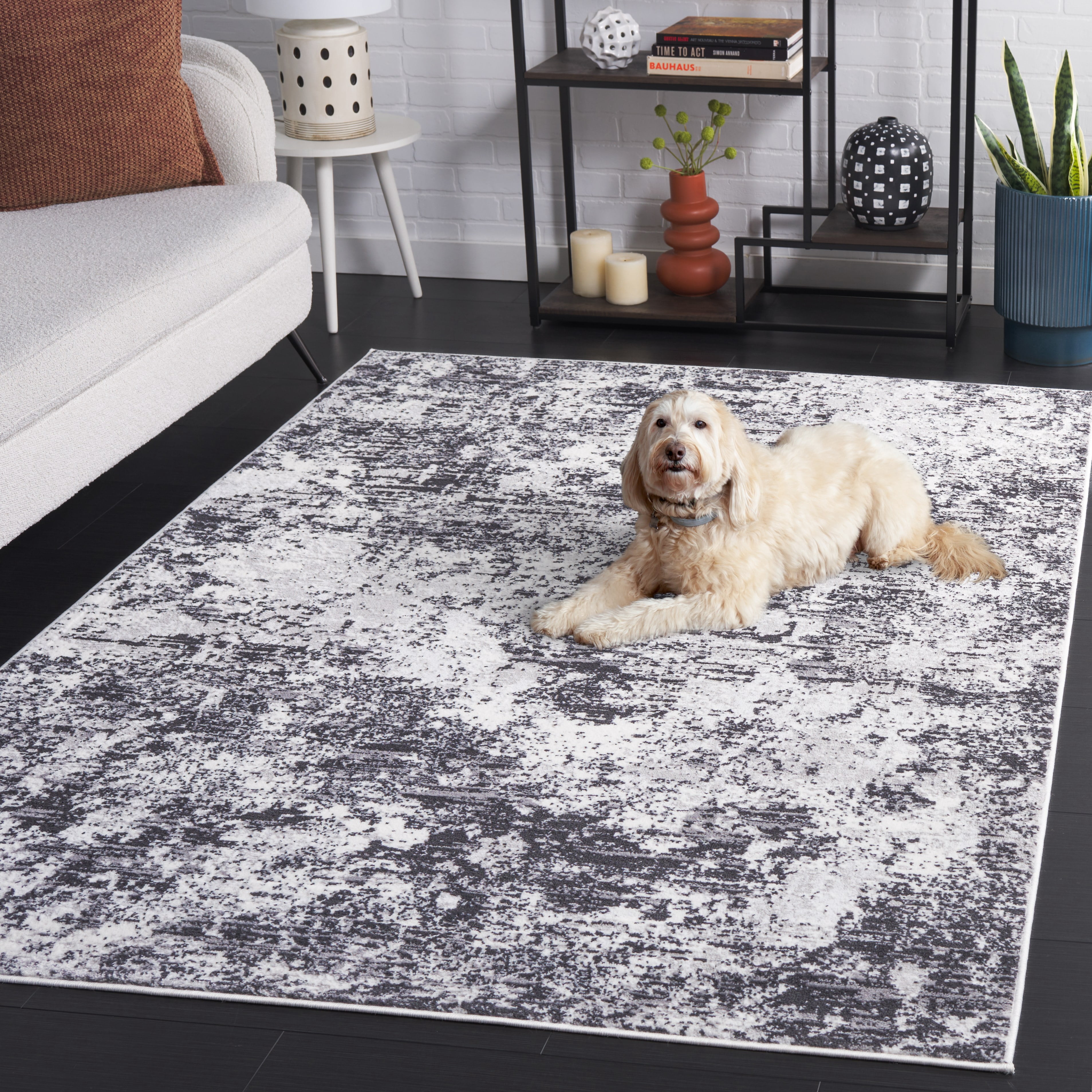SAFAVIEH Amelia Alastar Abstract Distressed Area Rug, Charcoal/Ivory, 4' x 6'