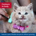 thumbnail image 4 of Kit Peine Desenredante para Gatitos Coastal Li'l Pals de 12.5 cm, 4 of 7