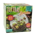 thumbnail image 2 of Unique Gardener Glass Terrarium - Fly Trap Garden, 2 of 5