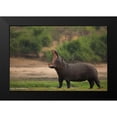 thumbnail image 2 of Eichelberg, Amnon 24x17 Black Modern Framed Museum Art Print Titled - Big Mouth, 2 of 5